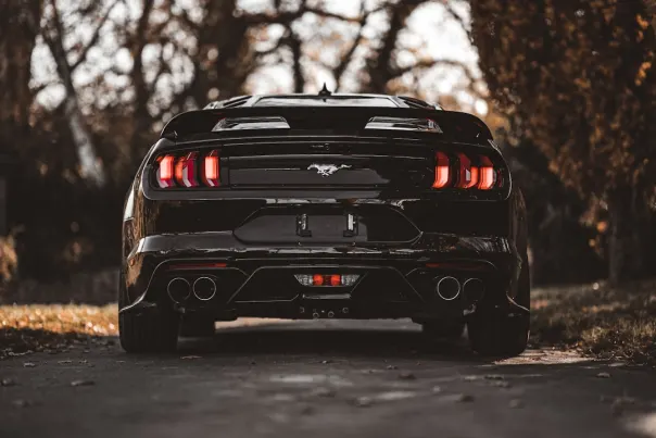 Kaszinó Posh Bingo Android/iOS Alkalmazás